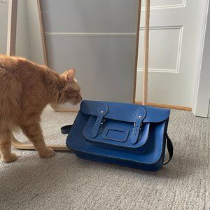 Cambridge stachel 13inch